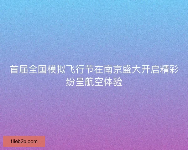 首届全国模拟飞行节在南京盛大开启精彩纷呈航空体验