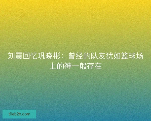 刘震回忆巩晓彬：曾经的队友犹如篮球场上的神一般存在